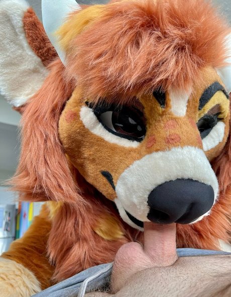 ナチュラルガールズオンリーファン ホットポルノ 写真