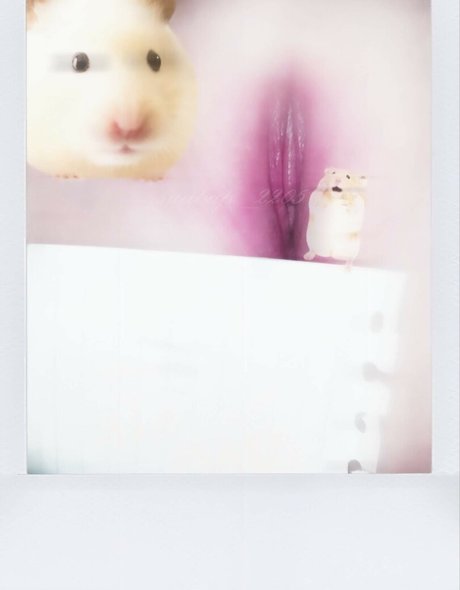 suabap 2205 エロティック女優 アーカイブ