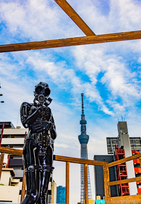 siranegi56 トップ女優 写真