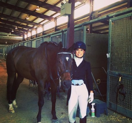 Ashton Hatchell HDモデル 写真