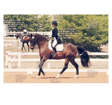 Ashton Hatchell 美しいポルノスター 写真