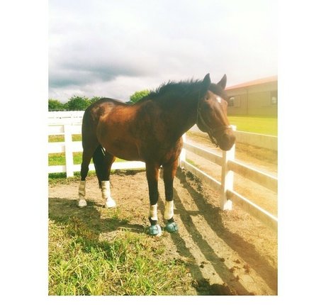 ティーンソロオンリーファンズ セクシーヌード 画像