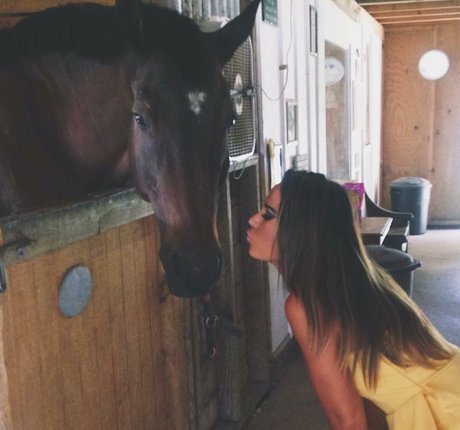 Ashton Hatchell 裸のポルノスター 画像