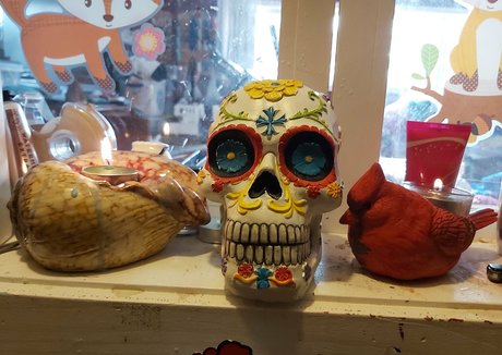 galaximoss HDスター 画像