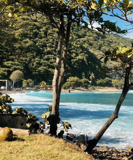 Daniworld アートモデル 写真