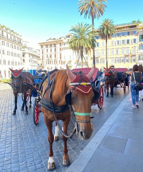 noaperetss ヌードモデル 画像