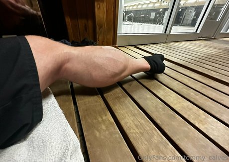tommy calves HDモデル アーカイブ