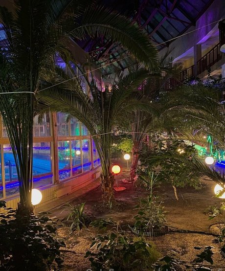 cherrykush6 かわいいスター 写真