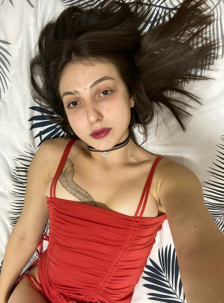 cherrykush6 完璧なスター 写真