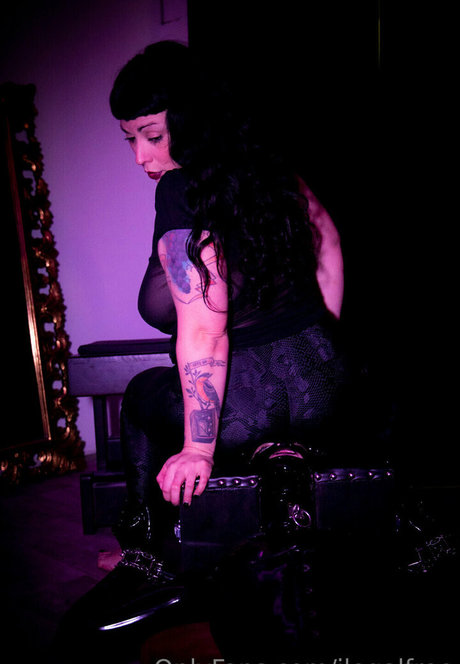 ilegalfree 完璧なスター 画像