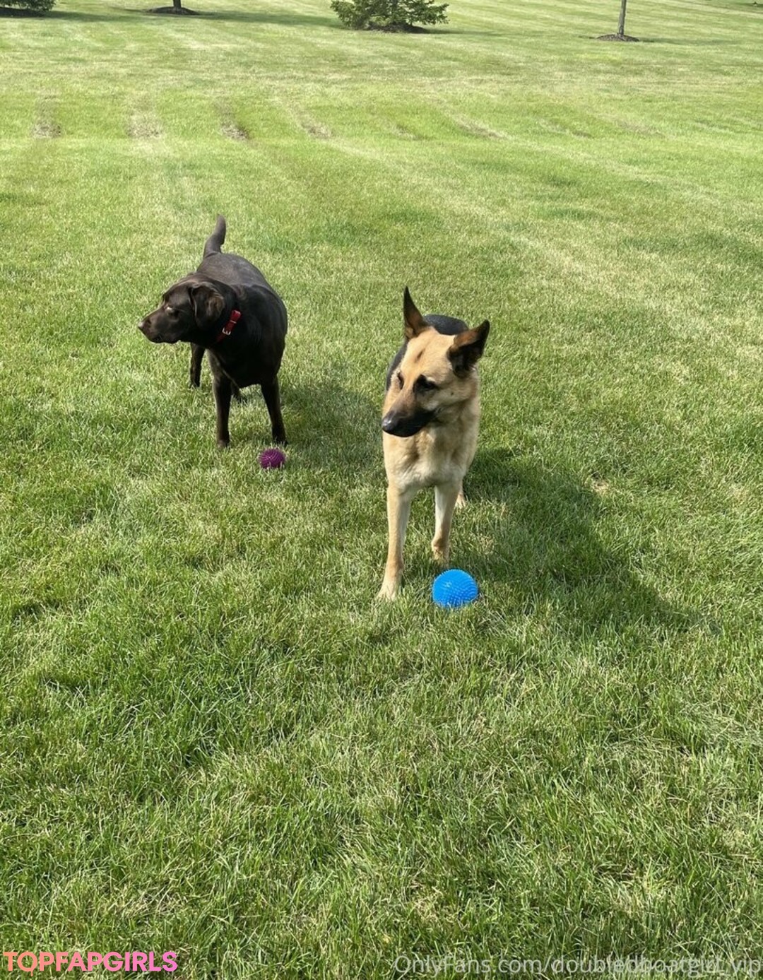 doubledboatgirl vip セクシーなスター 写真