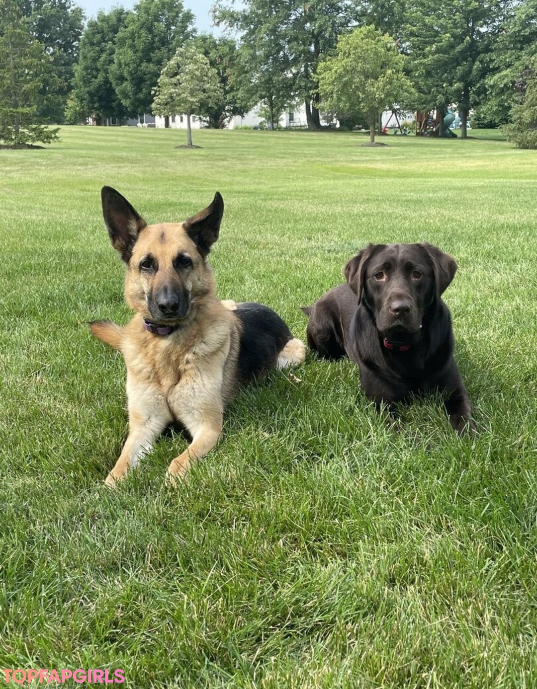 平均オンリーファン アートポルノ アーカイブ