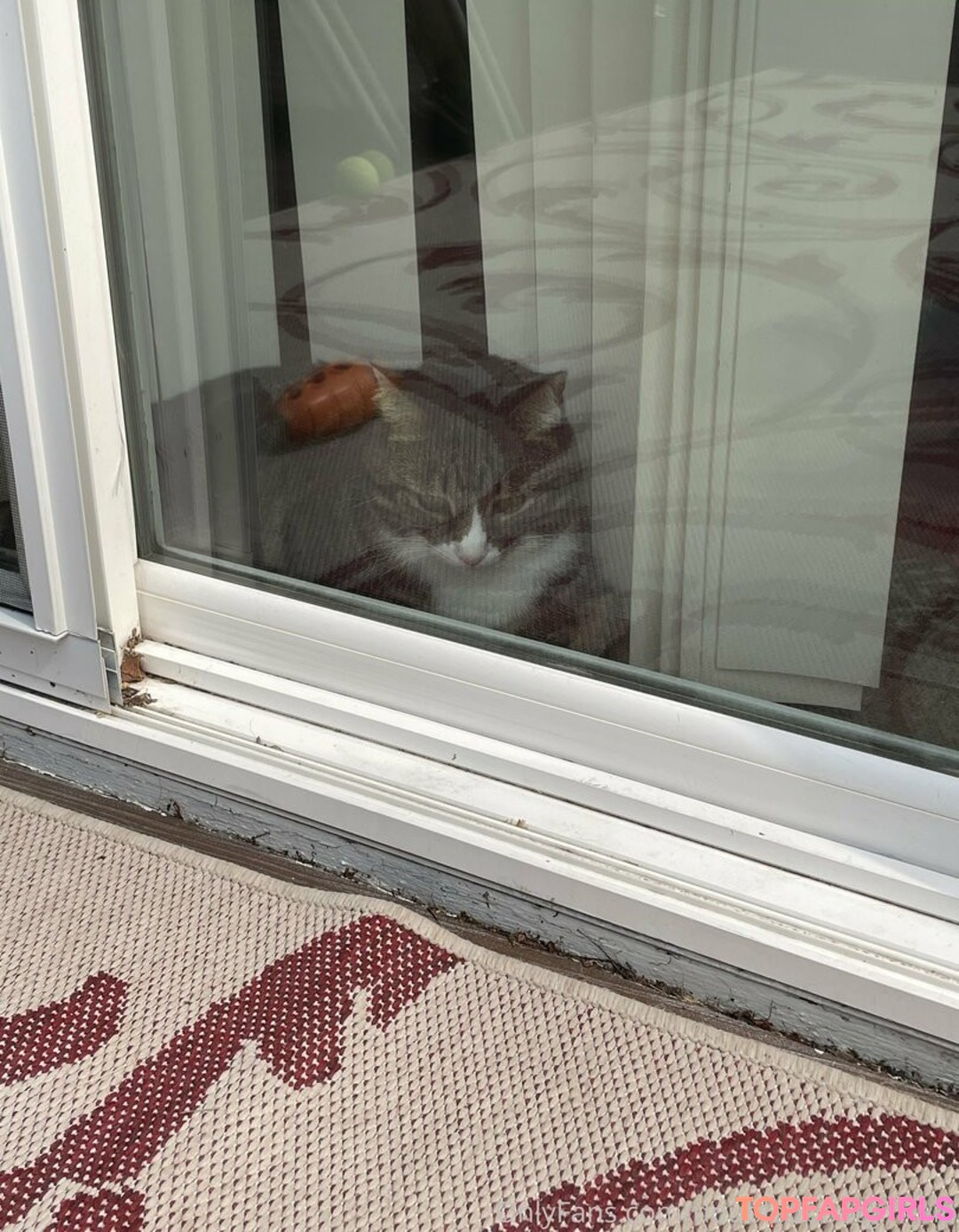 doubledboatgirl vip 美しいスター 画像