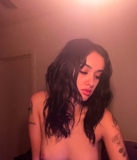 Akasha Collins アダルトスター 写真