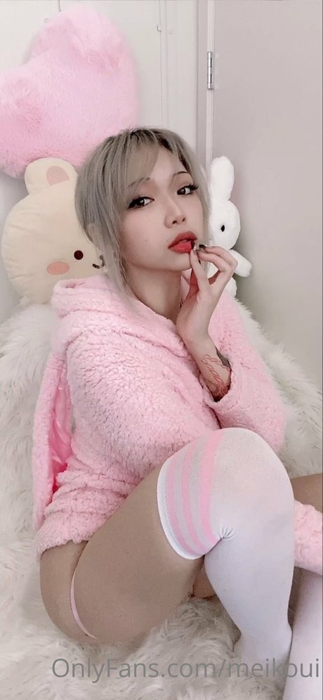 Meikoui HDスター 写真
