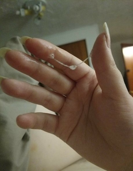 blabbercat HDモデル 写真