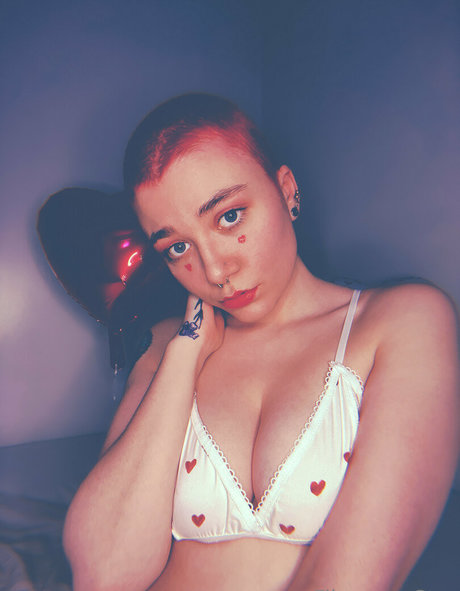 filomenastar 美しいスター 写真