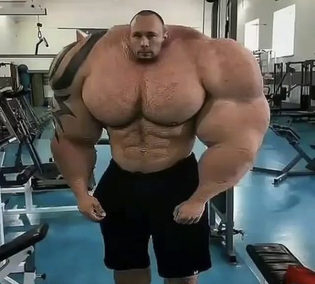 Yuval top profile image