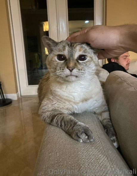 毛深いアナルオンリーファンズ アダルト 写真