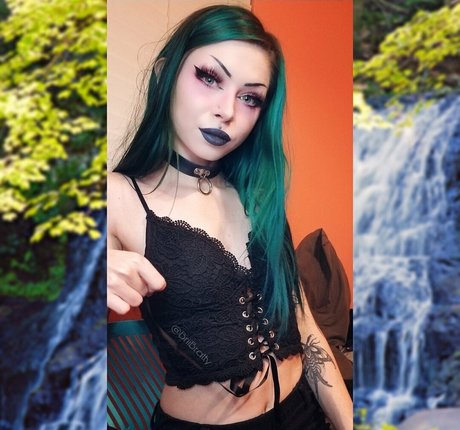 battydoll セクシーなスター 写真