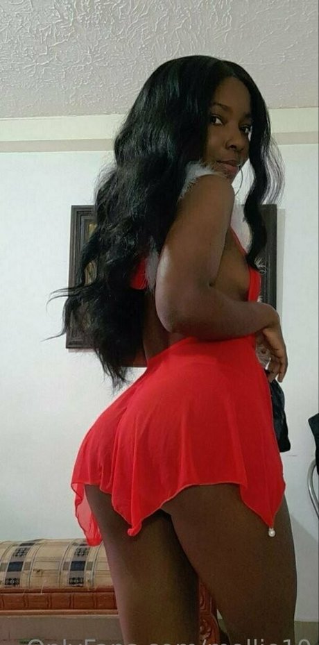 ボスオンリーファン 美しいヌード 写真