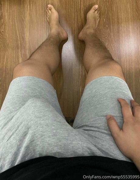 wnp55535995 無料のスター 写真