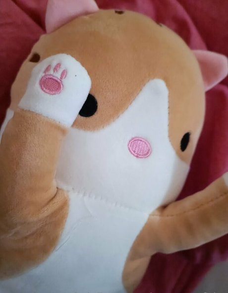 mysecretfairy セクシーモデル ギャラリー