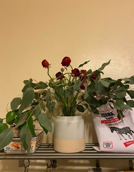 茶色の目のキティオンリーファンズ 無料セックス 写真