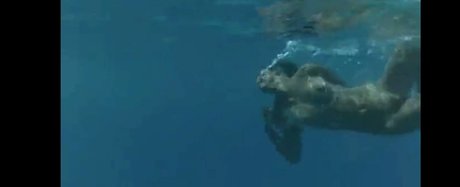 Phoebe Cates 最高のスター 写真