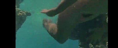 Phoebe Cates xxxスター アーカイブ
