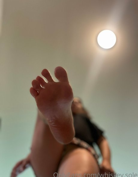 whiskey sole かわいいスター 写真