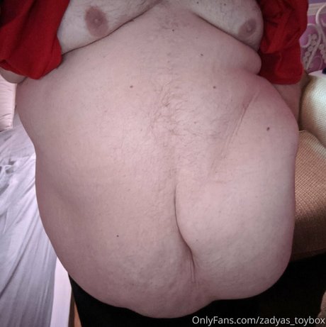 zadyas toybox 限定スター 写真