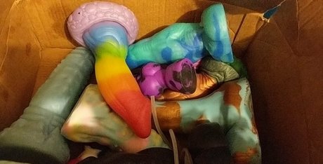 zadyas toybox ポルノモデル ギャラリー