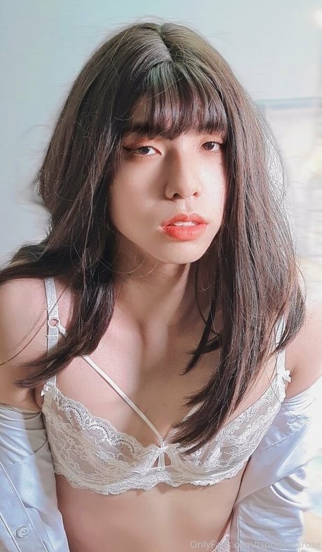 TSprincessRose 完璧なスター 写真