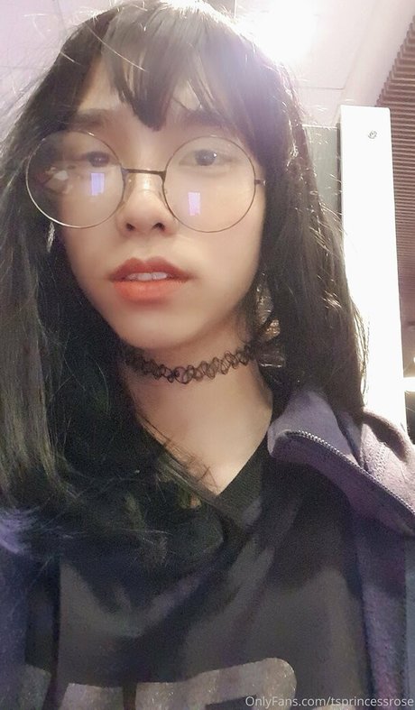 TSprincessRose ポルノスター ヌード 画像