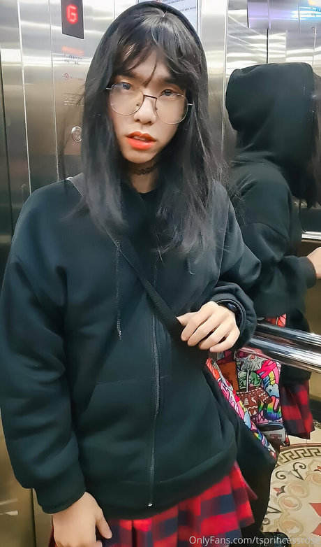 TSprincessRose かわいいスター 写真