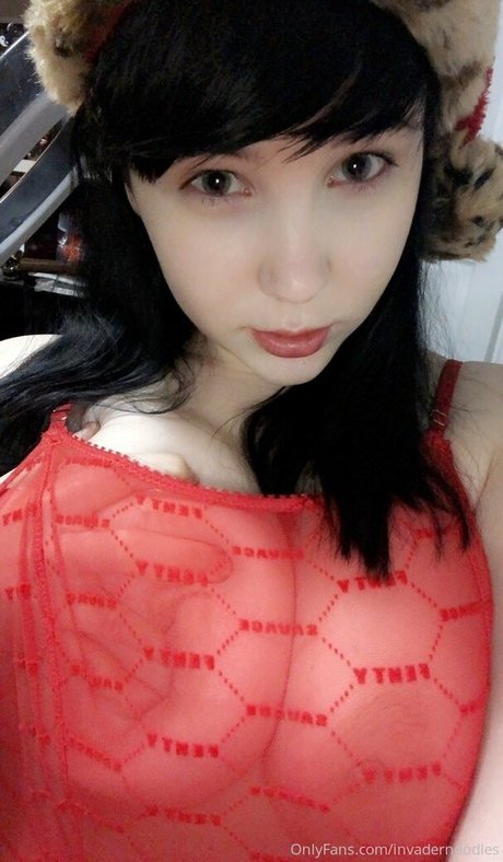 invadernoodles 完璧なモデル 写真