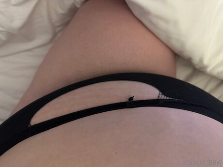 cookie bbw xxxモデル 写真