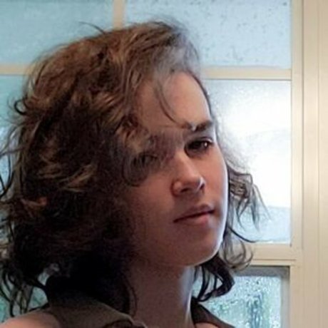 Whimsy Waffle 高品質スター 写真