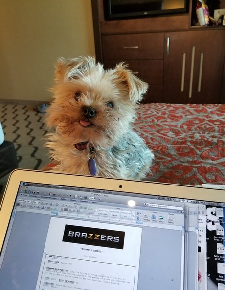 グローリーホール妻オンリーファンズ パーフェクト 画像