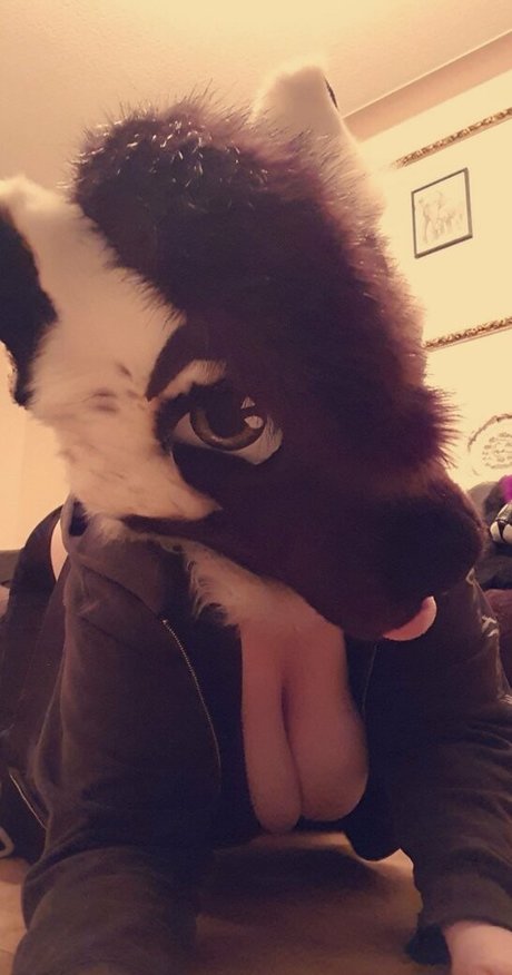all the fluffies profile image
