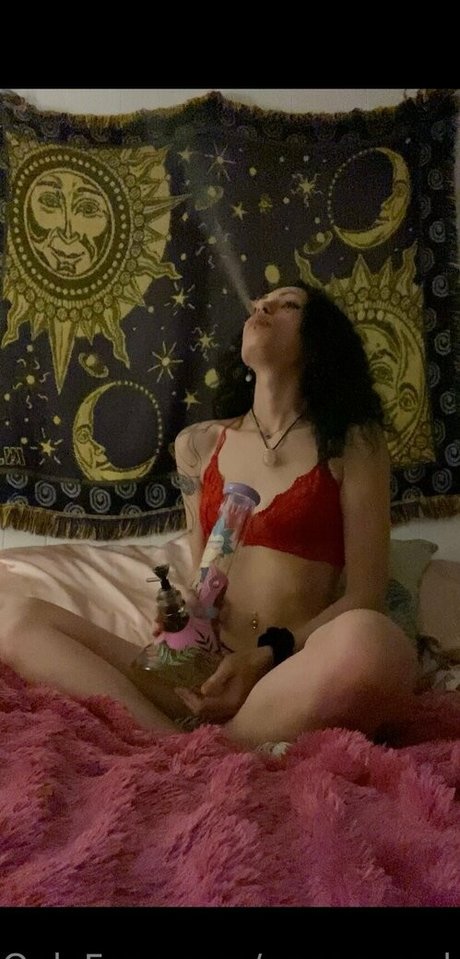 blossoming vixen ヌードスター 写真