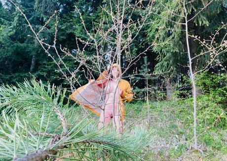 shadeofme 高品質モデル 写真