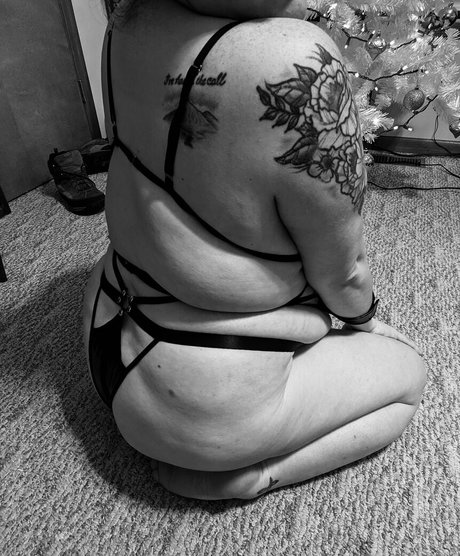 solag1998 高品質スター ギャラリー