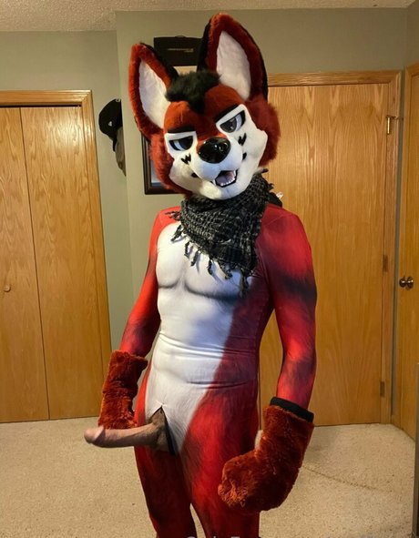wolf ezo ポルノスター パーフェクト 写真