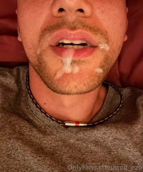 wolf ezo アートスター 画像