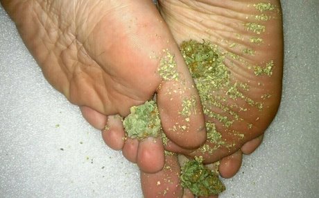 lelannifeets アートモデル 写真
