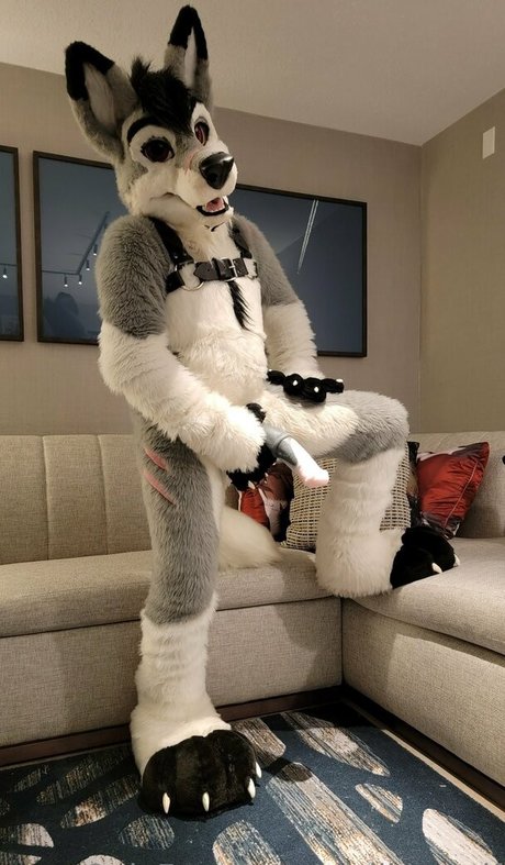 stallionwolf セクシーなポルノスター アーカイブ