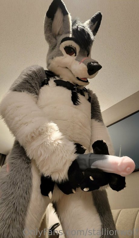 stallionwolf ポルノモデル アーカイブ