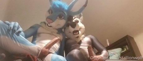 stallionwolf エロティックモデル ギャラリー